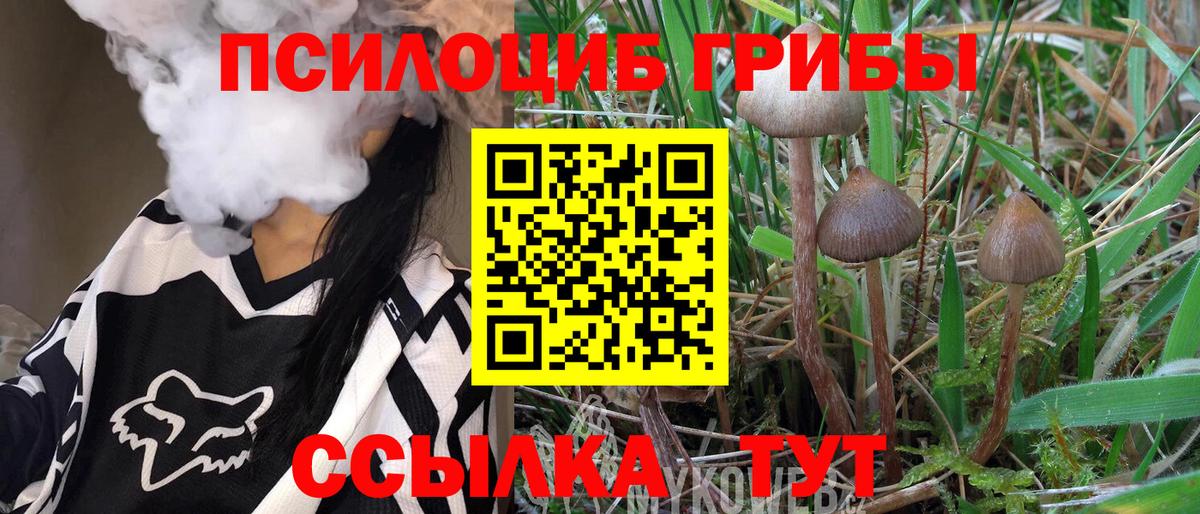 Псилоцибиновые грибы Psilocybine cubensis Ульяновск