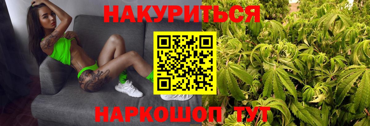 Ульяновск  Шишки марихуана план  МАРИХУАНА White Widow  Шишки марихуана тримм  Вход с VPN 